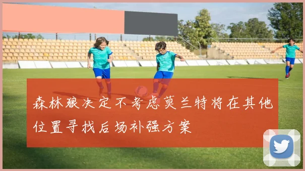 森林狼决定不考虑莫兰特将在其他位置寻找后场补强方案